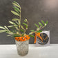 Blumenhalter